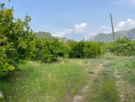 7800M2 Grundstück Zum Verkauf Am Anfang Der Strandstraße Iztuzu In Gökbel