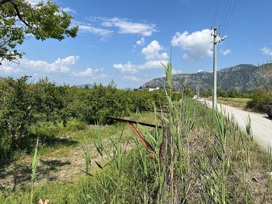 5.100 M² Großes Grundstück In Dalyan, Gebiet Maraş, Zu Verkaufen, Ausgewiesen Für 5% Wohnnutzung.