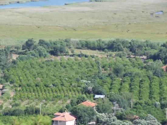 1252m2 Grundstück Zum Verkauf Mit Seeblick In Çandır