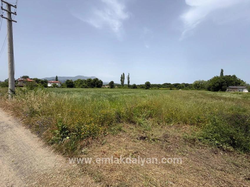 2390m2 Land For Sale In Okçular Marmaris