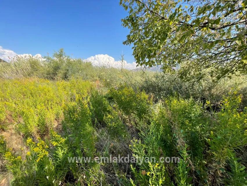 1+0 Bedroom Detached house For sale in Çandır Nbh. Köyceğiz - 2.765 m²