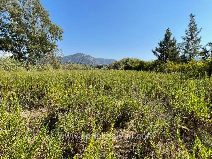 1+0 Bedroom Detached house For sale in Çandır Nbh. Köyceğiz - 2.765 m²