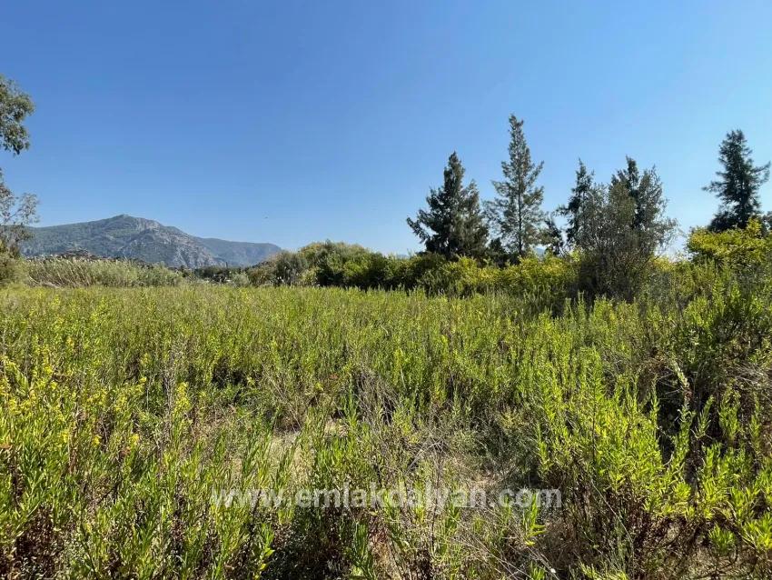 1+0 Bedroom Detached house For sale in Çandır Nbh. Köyceğiz - 2.765 m²