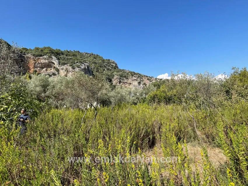 1+0 Bedroom Detached house For sale in Çandır Nbh. Köyceğiz - 2.765 m²