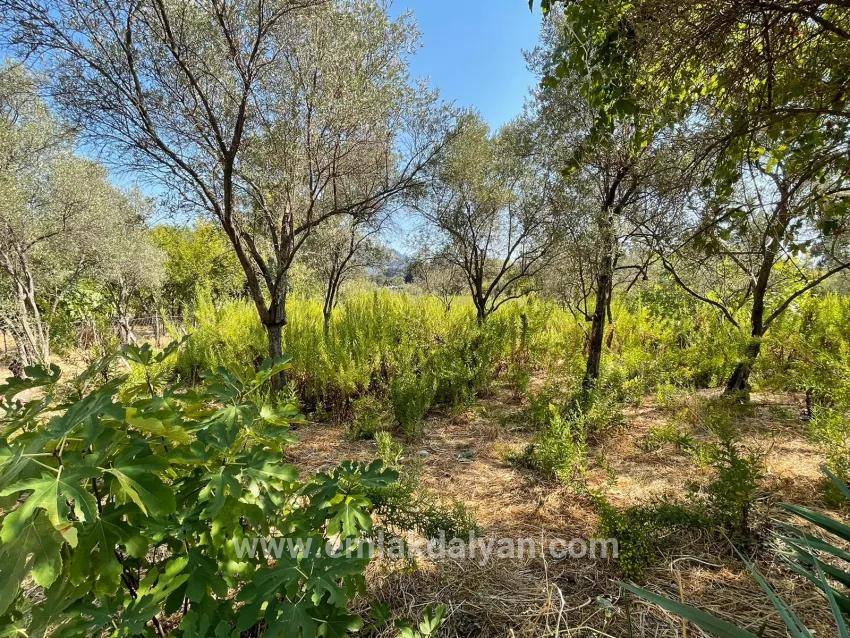 1+0 Bedroom Detached house For sale in Çandır Nbh. Köyceğiz - 2.765 m²
