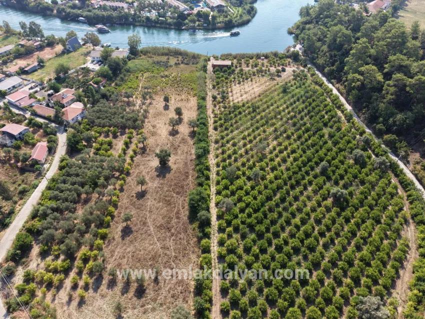 Village of Köyceğiz Çandır Neighbourhood with zero channel 20,000m2 for sale land