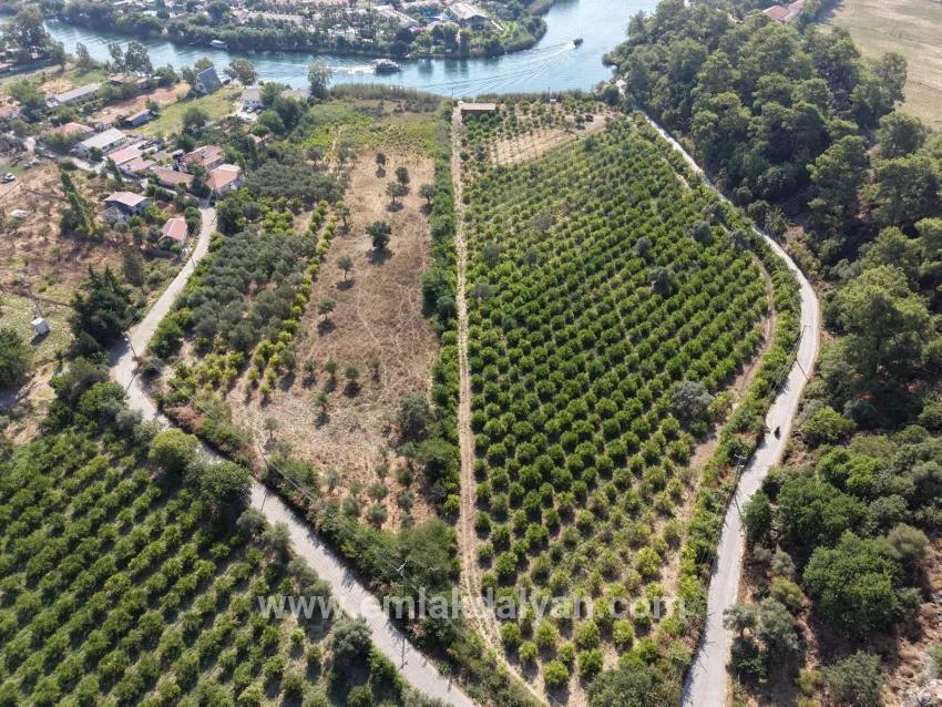 Village of Köyceğiz Çandır Neighbourhood with zero channel 20,000m2 for sale land