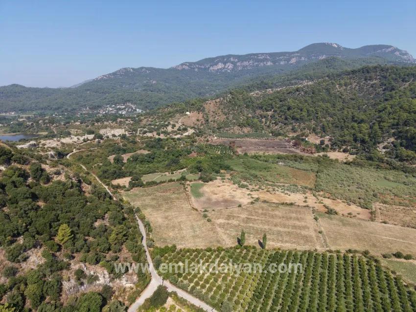 Village of Köyceğiz Çandır Neighbourhood with zero channel 20,000m2 for sale land