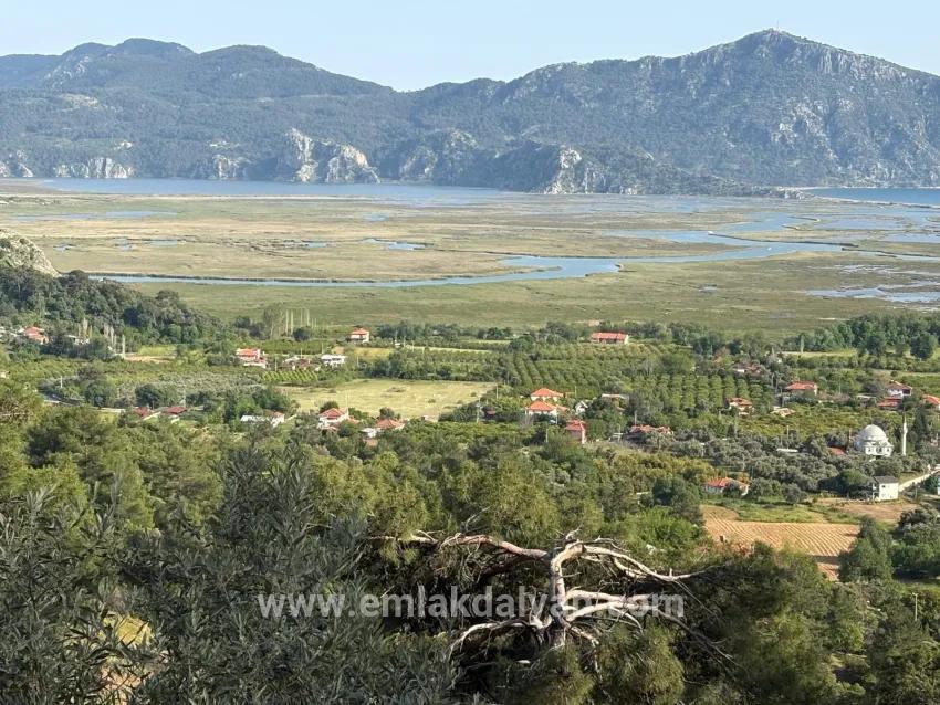 Field For sale in Çandır Nbh. Köyceğiz - Field Zoned - 1.252 m²