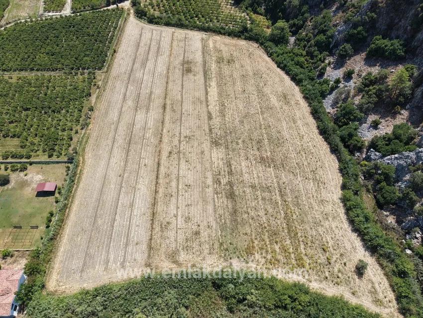 Field For sale in Dalyan Nbh. Ortaca - Field Zoned - 20.786 m²