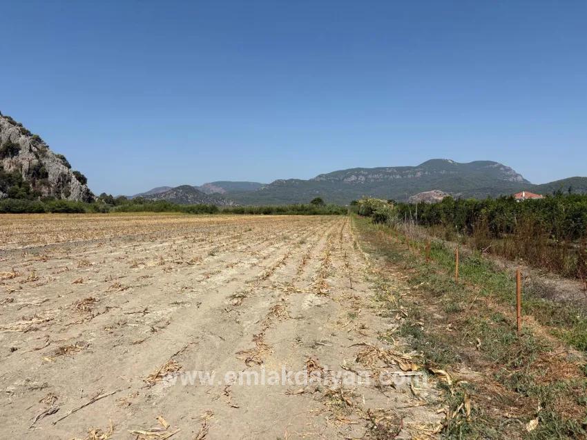 Field For sale in Dalyan Nbh. Ortaca - Field Zoned - 20.786 m²
