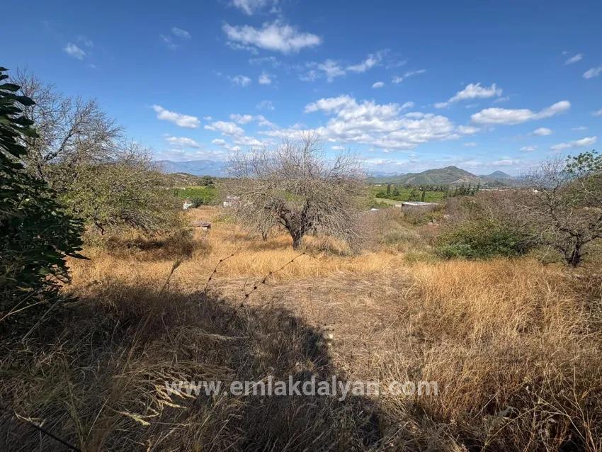Field For sale in Dalyan Nbh. Ortaca - Field Zoned - 5.000 m²