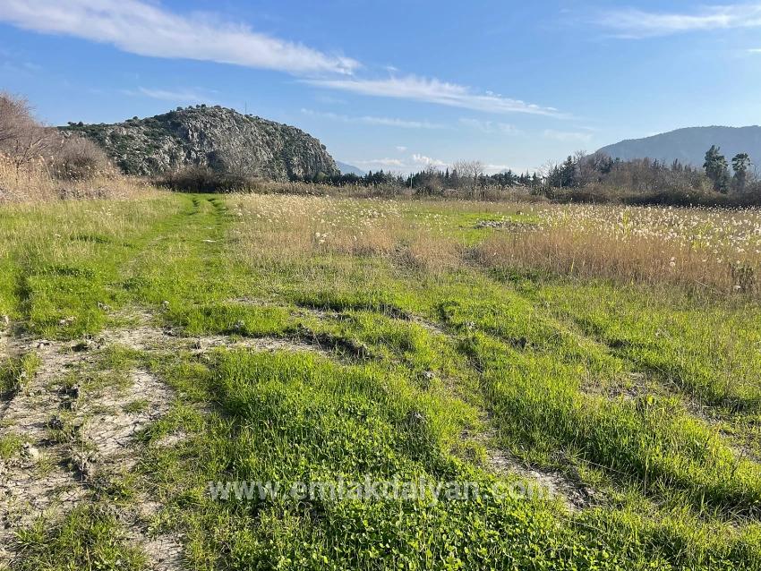 Land For sale in Dalyan Nbh. Ortaca - Housing Zoned - 6.800 m²