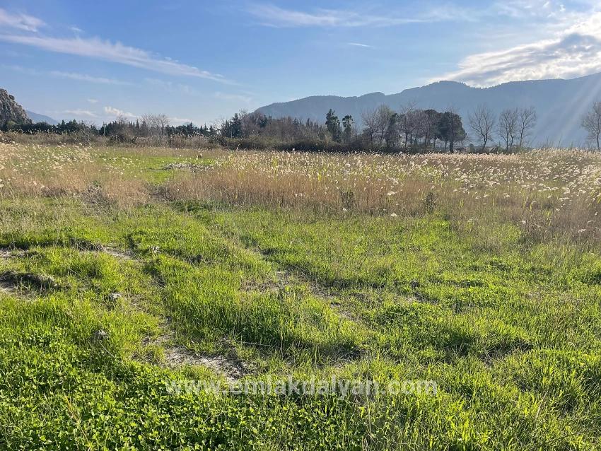 Land For sale in Dalyan Nbh. Ortaca - Housing Zoned - 6.800 m²