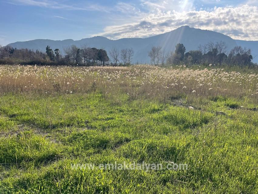 Land For sale in Dalyan Nbh. Ortaca - Housing Zoned - 6.800 m²