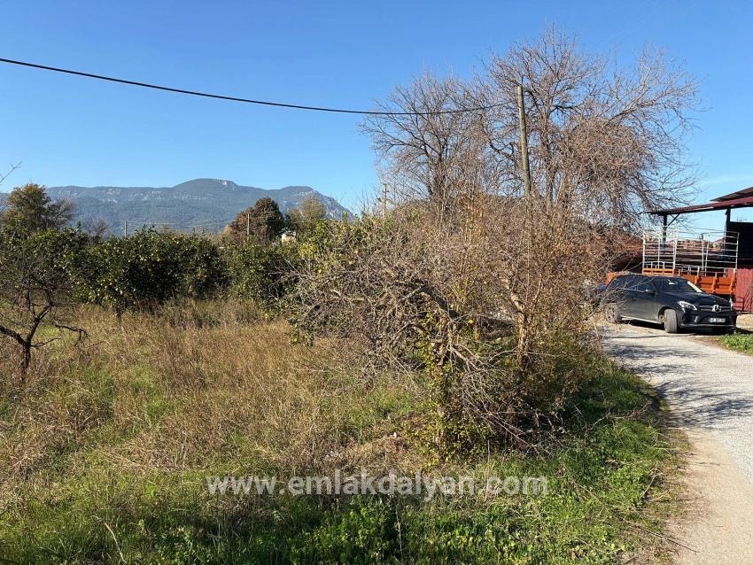 Field For sale in Dalyan Nbh. Ortaca - Field Zoned - 4.541 m²