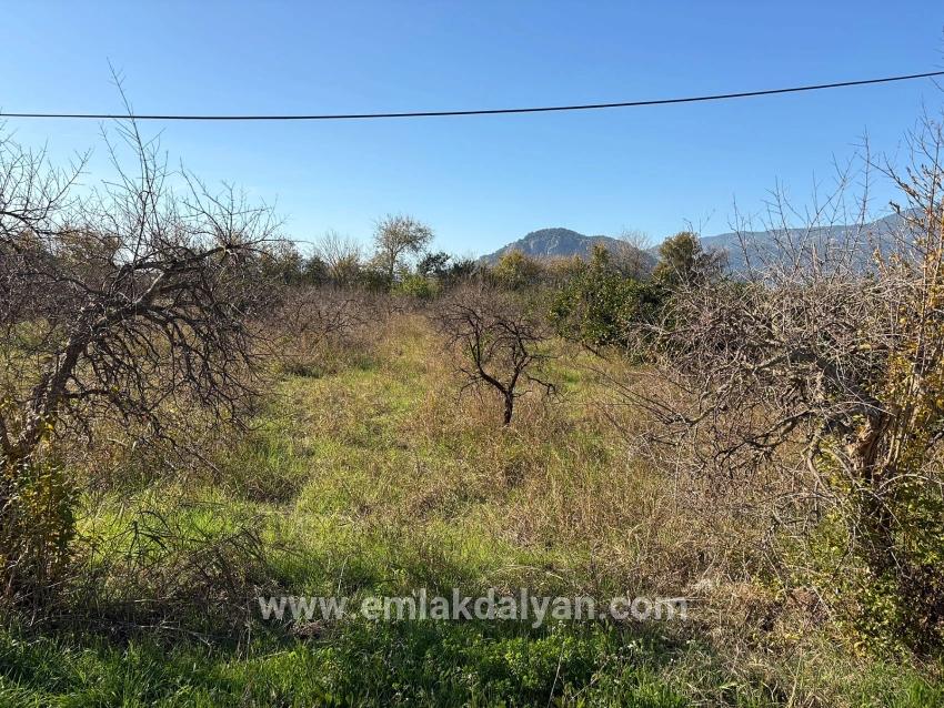 Field For sale in Dalyan Nbh. Ortaca - Field Zoned - 4.541 m²