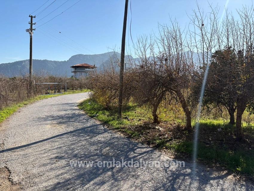 Field For sale in Dalyan Nbh. Ortaca - Field Zoned - 4.541 m²