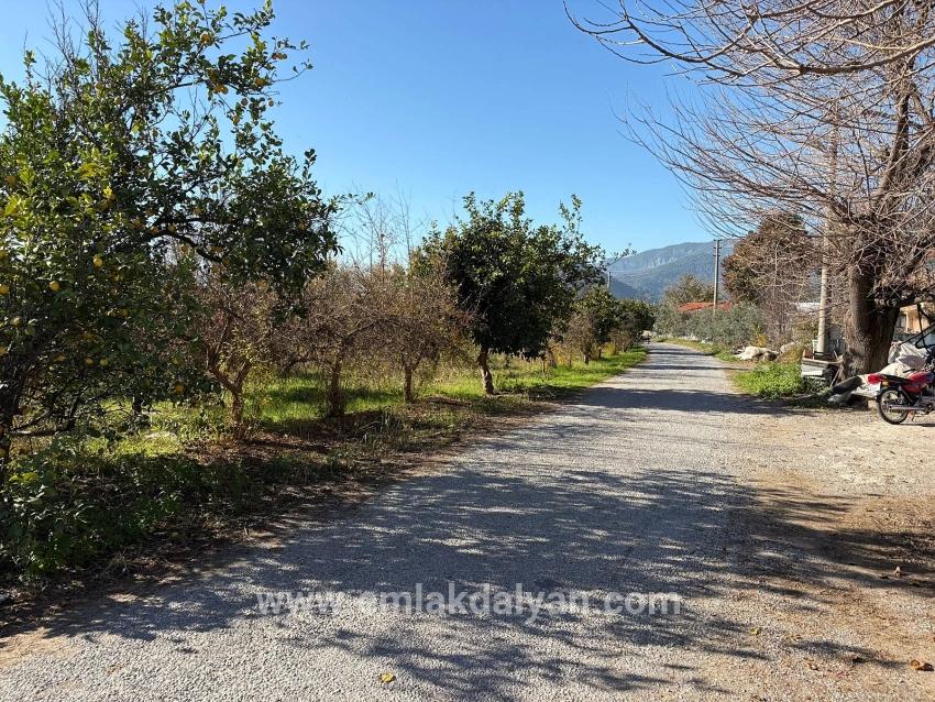 Field For sale in Dalyan Nbh. Ortaca - Field Zoned - 4.541 m²