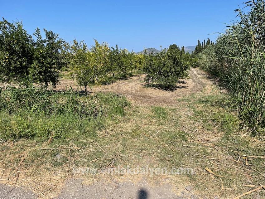Field For sale in Dalyan Nbh. Ortaca - Housing Zoned - 10.000 m²