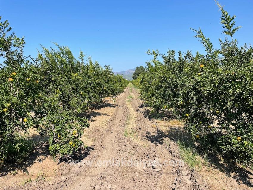 Field For sale in Dalyan Nbh. Ortaca - Housing Zoned - 10.000 m²