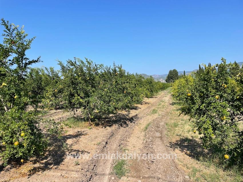 Field For sale in Dalyan Nbh. Ortaca - Housing Zoned - 10.000 m²