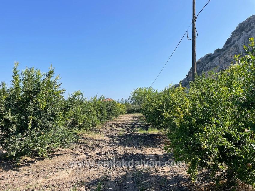 Field For sale in Dalyan Nbh. Ortaca - Housing Zoned - 10.000 m²
