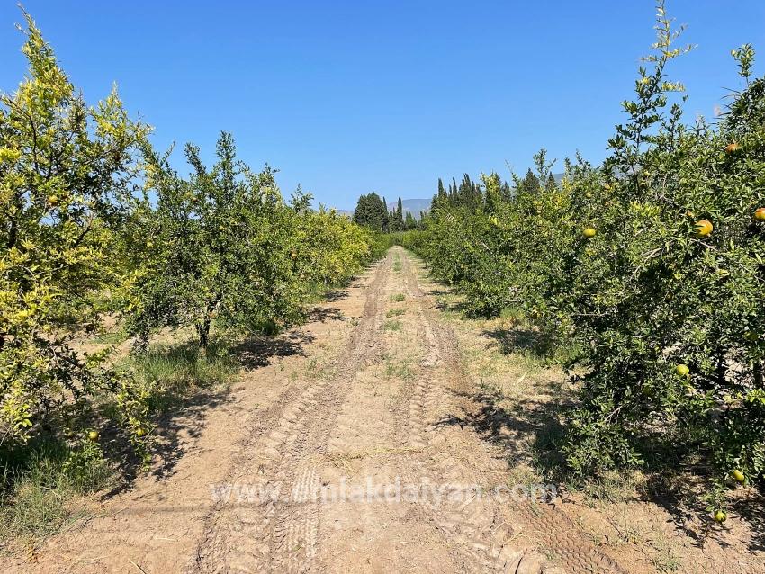 Field For sale in Dalyan Nbh. Ortaca - Housing Zoned - 10.000 m²