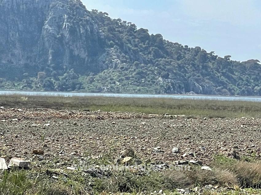 Field For sale in Dalyan Nbh. Ortaca - Housing Zoned - 19.600 m²