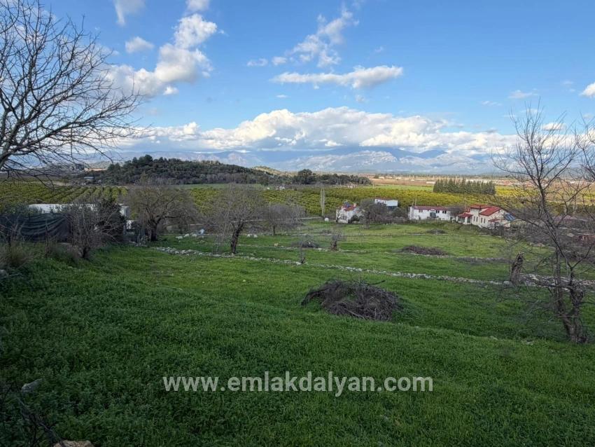 Field For sale in Dalyan Nbh. Ortaca - Field Zoned - 11.230 m²