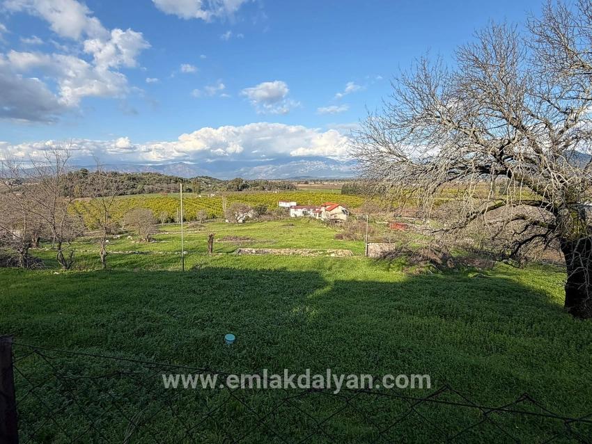 Field For sale in Dalyan Nbh. Ortaca - Field Zoned - 11.230 m²