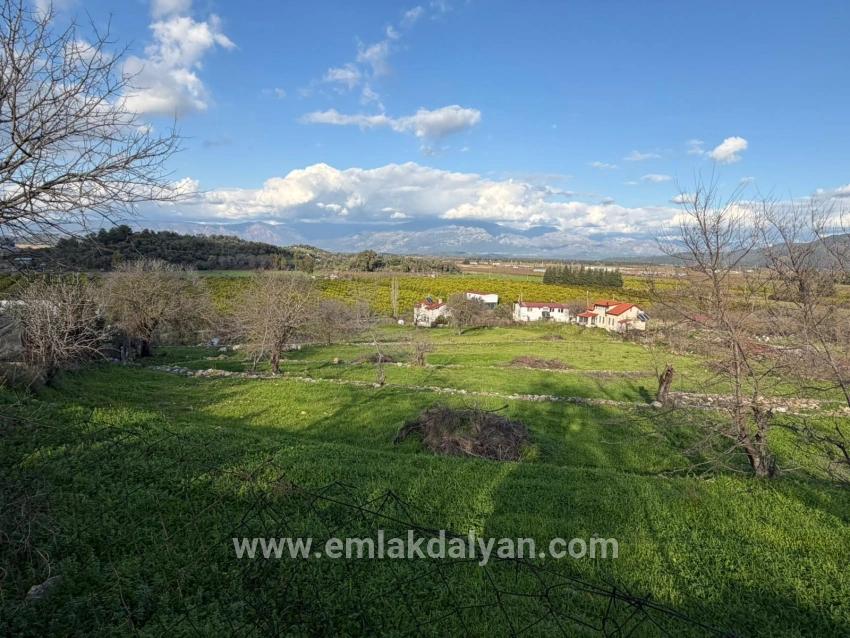 Field For sale in Dalyan Nbh. Ortaca - Field Zoned - 11.230 m²