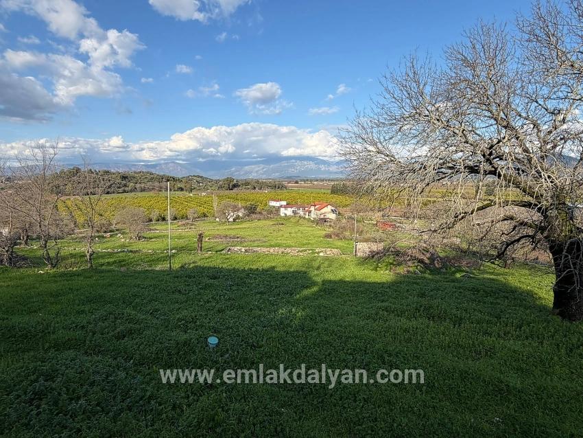 Field For sale in Dalyan Nbh. Ortaca - Field Zoned - 11.230 m²
