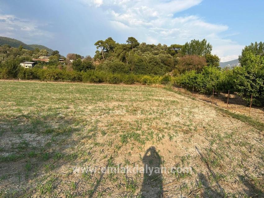 Field For sale in Çandır Nbh. Köyceğiz - Housing Zoned - 1.150 m²
