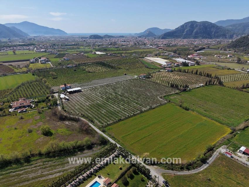 Vineyards & orchards For sale in Dalyan Nbh. Ortaca - Vineyards & orchards Zoned - 17.550 m²