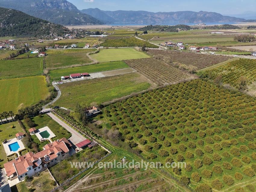 Vineyards & orchards For sale in Dalyan Nbh. Ortaca - Vineyards & orchards Zoned - 17.550 m²