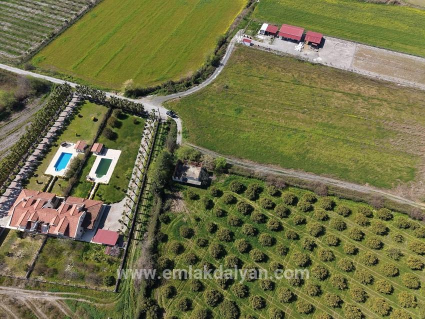 Vineyards & orchards For sale in Dalyan Nbh. Ortaca - Vineyards & orchards Zoned - 17.550 m²