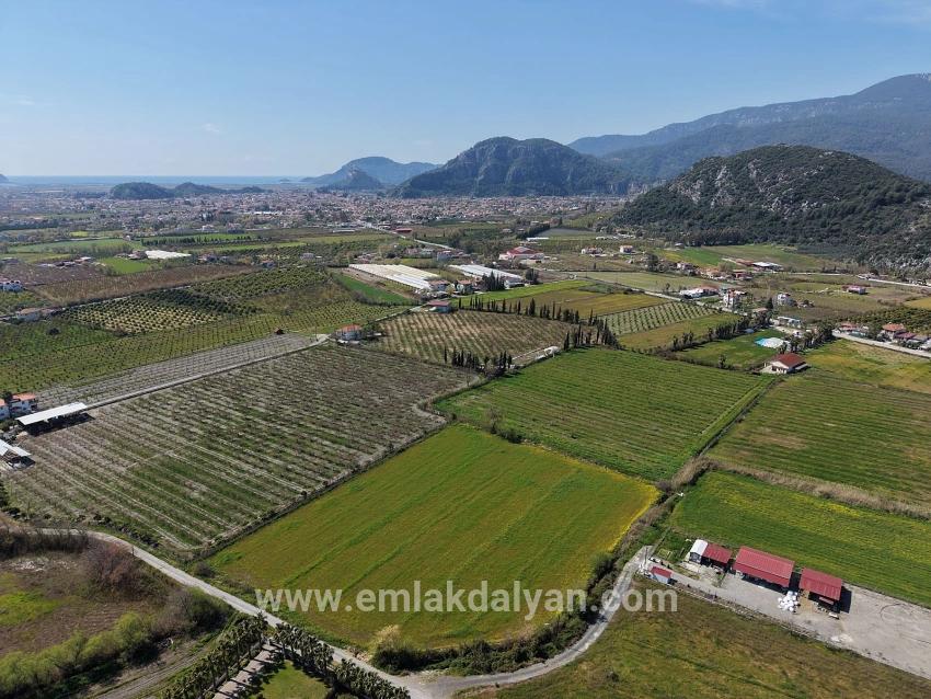 Vineyards & orchards For sale in Dalyan Nbh. Ortaca - Vineyards & orchards Zoned - 17.550 m²