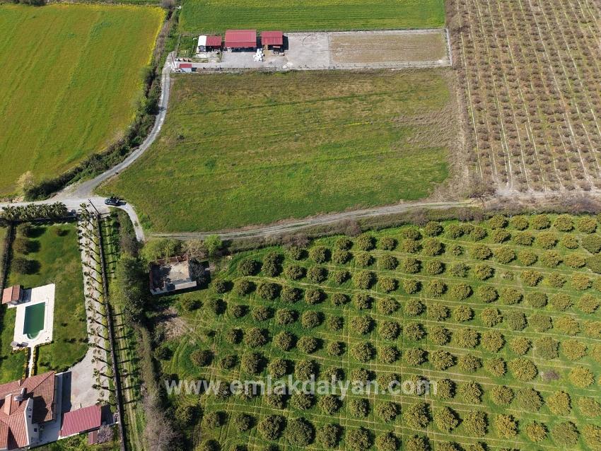 Vineyards & orchards For sale in Dalyan Nbh. Ortaca - Vineyards & orchards Zoned - 17.550 m²