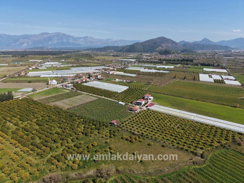 Vineyards & orchards For sale in Dalyan Nbh. Ortaca - Vineyards & orchards Zoned - 17.550 m²