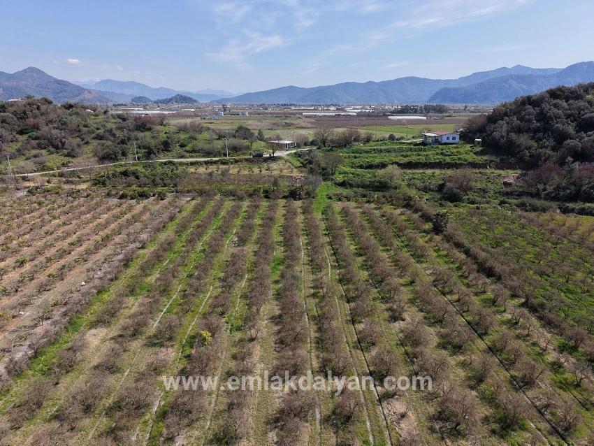 16.710m2 Pomegranate Garden For Sale With Lake View In Eskiköy