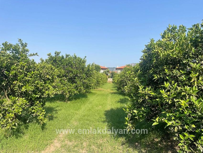Land For sale in Dalyan Nbh. Ortaca - Housing Zoned - 722 m²