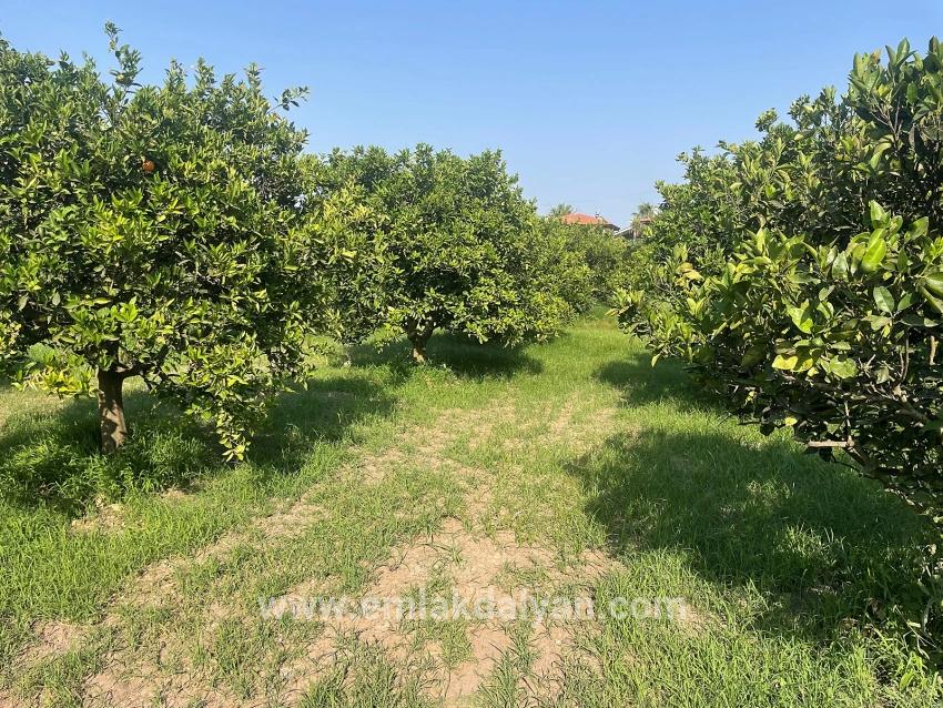Land For sale in Dalyan Nbh. Ortaca - Housing Zoned - 722 m²