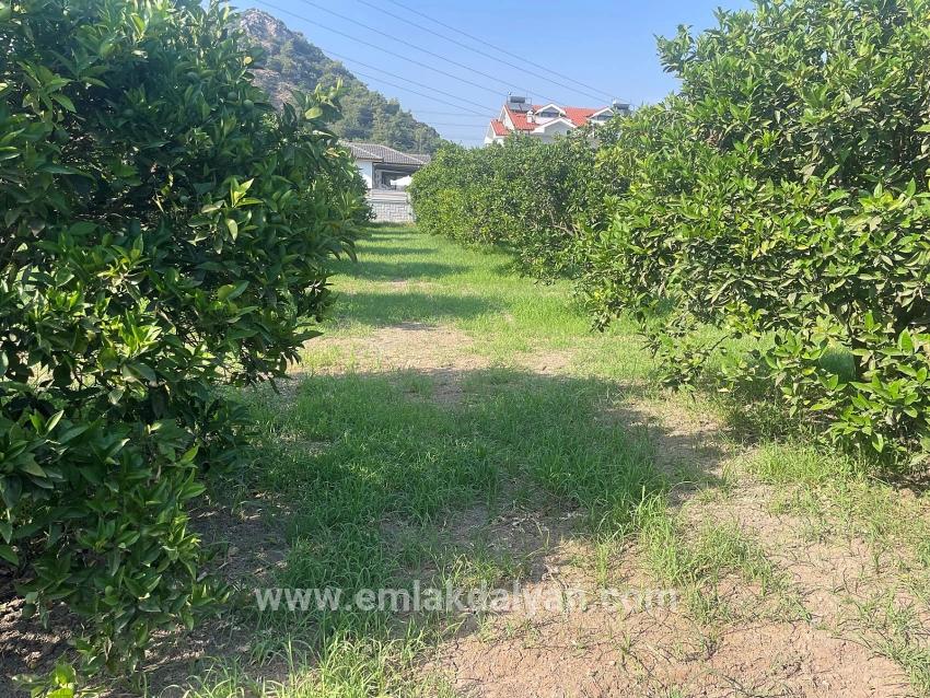 Land For sale in Dalyan Nbh. Ortaca - Housing Zoned - 722 m²