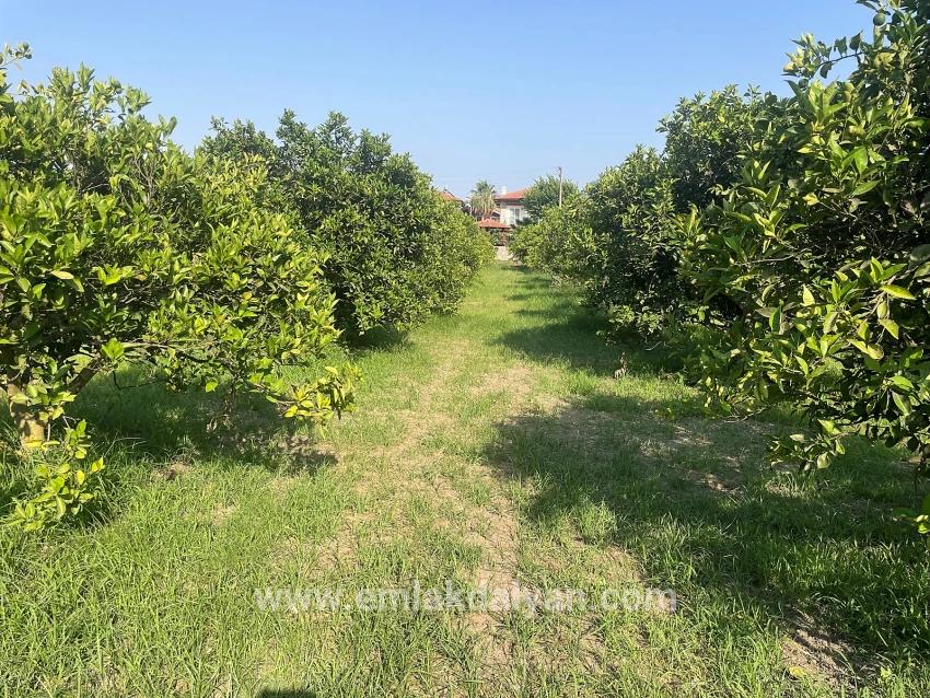 Land For sale in Dalyan Nbh. Ortaca - Housing Zoned - 722 m²