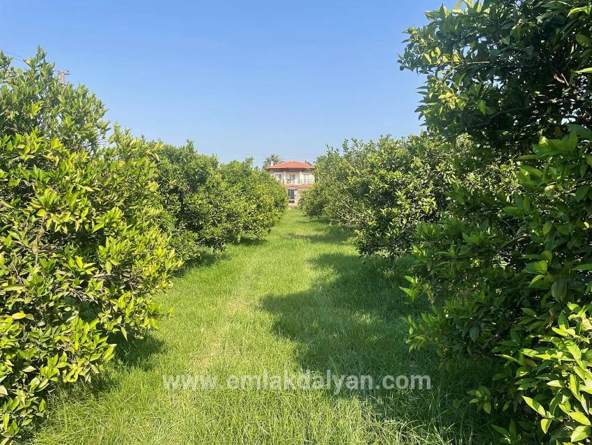 Land For sale in Dalyan Nbh. Ortaca - Housing Zoned - 722 m²