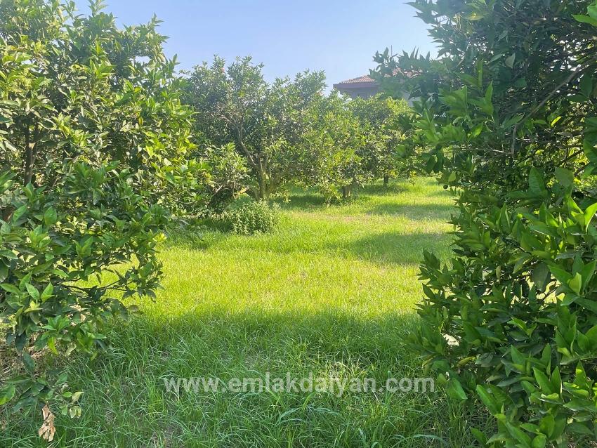 Land For sale in Dalyan Nbh. Ortaca - Housing Zoned - 722 m²