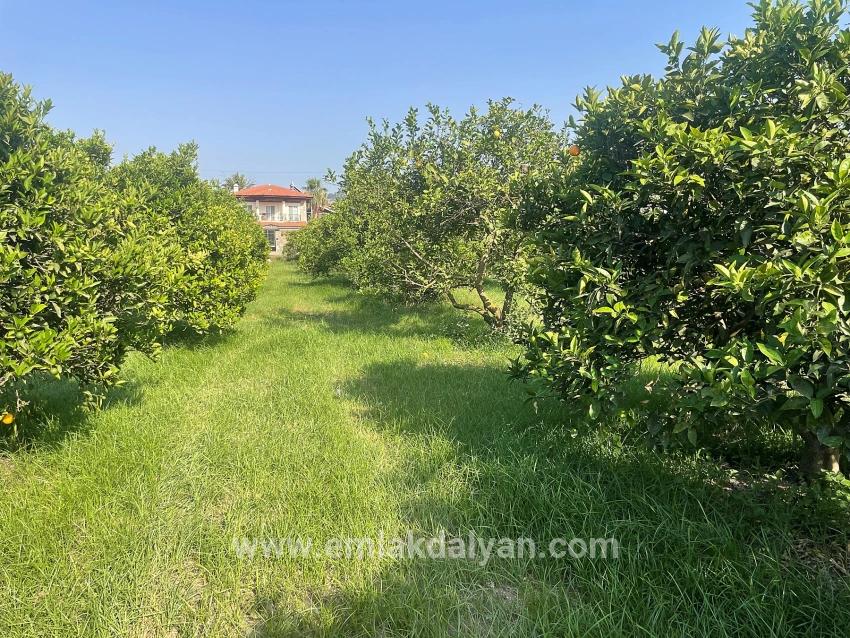Land For sale in Dalyan Nbh. Ortaca - Housing Zoned - 722 m²