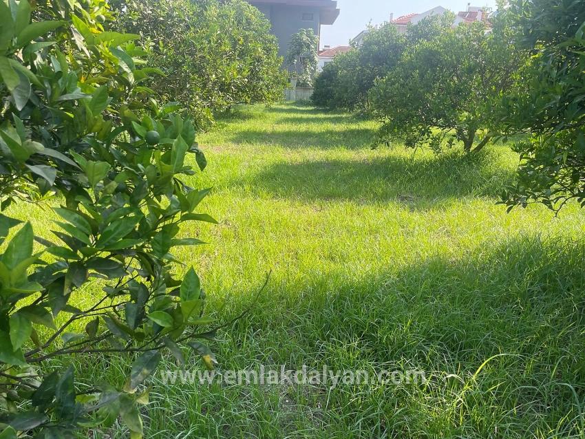 Land For sale in Dalyan Nbh. Ortaca - Housing Zoned - 722 m²