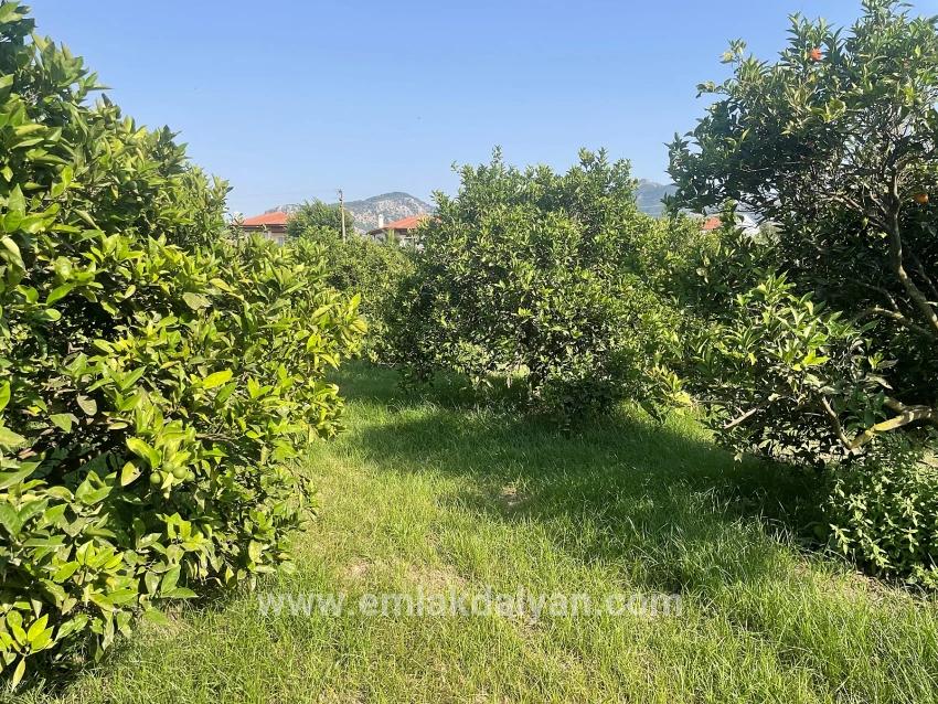 Land For sale in Dalyan Nbh. Ortaca - Housing Zoned - 722 m²
